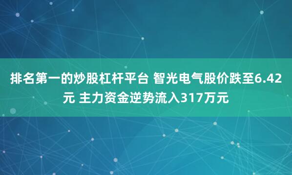 排名第一的炒股杠杆平台 智光电气股价跌至6.42元 主力资金逆势流入317万元