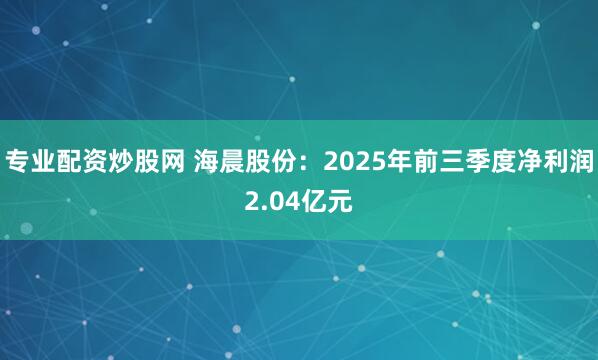 专业配资炒股网 海晨股份：2025年前三季度净利润2.04亿元
